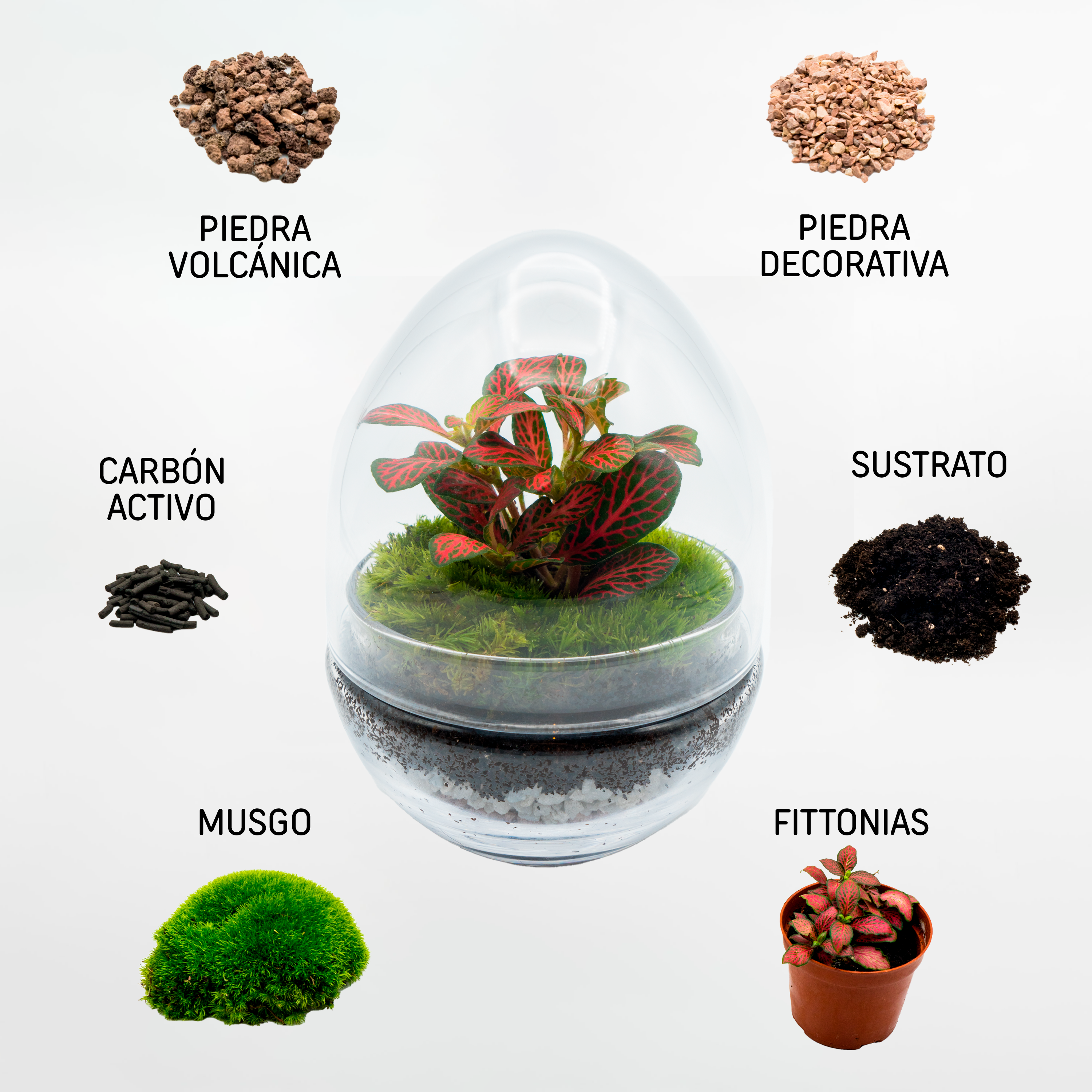 Kit Créalo Tú Mismo Jardín Eterno Segura