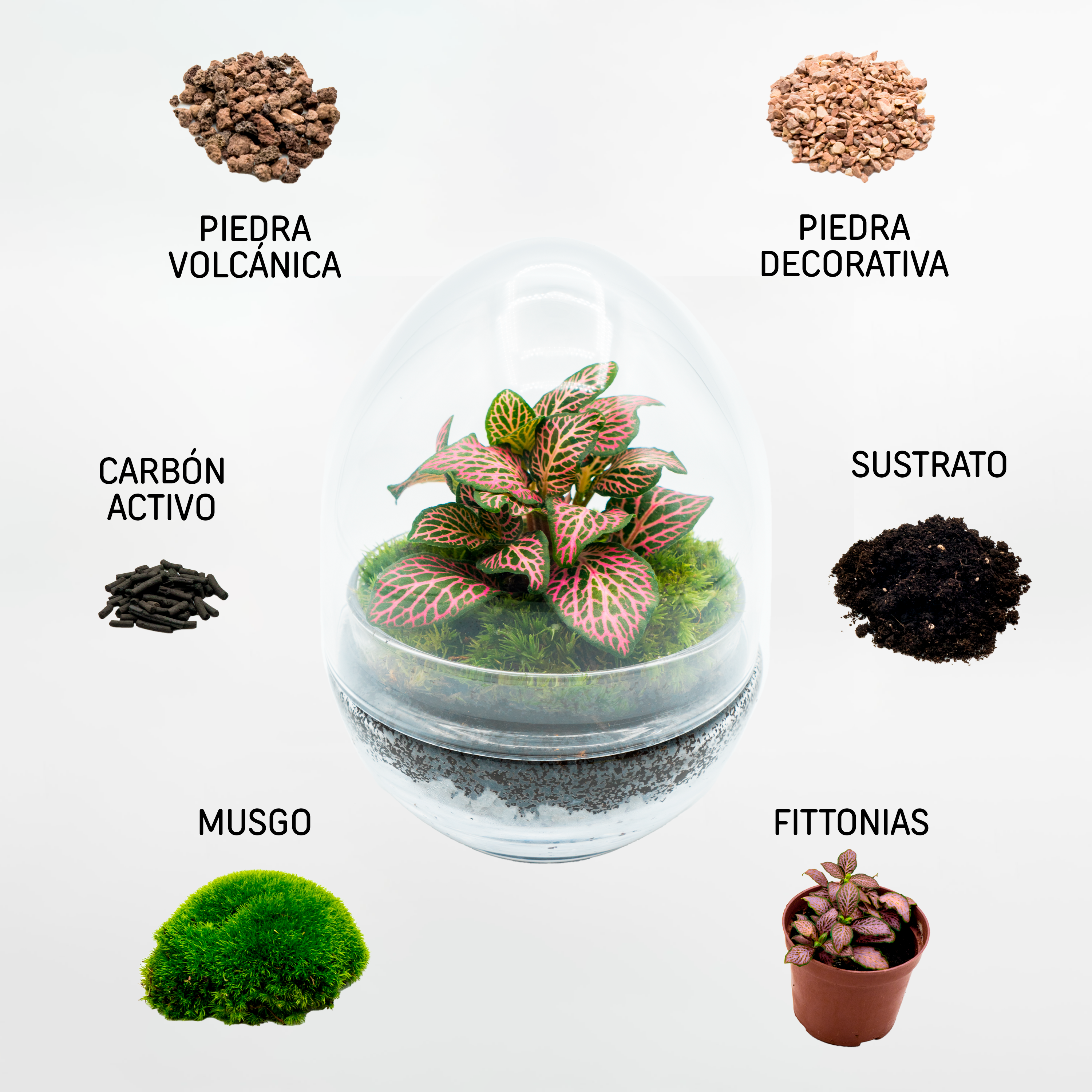 Kit Créalo Tú Mismo Jardín Eterno Segura