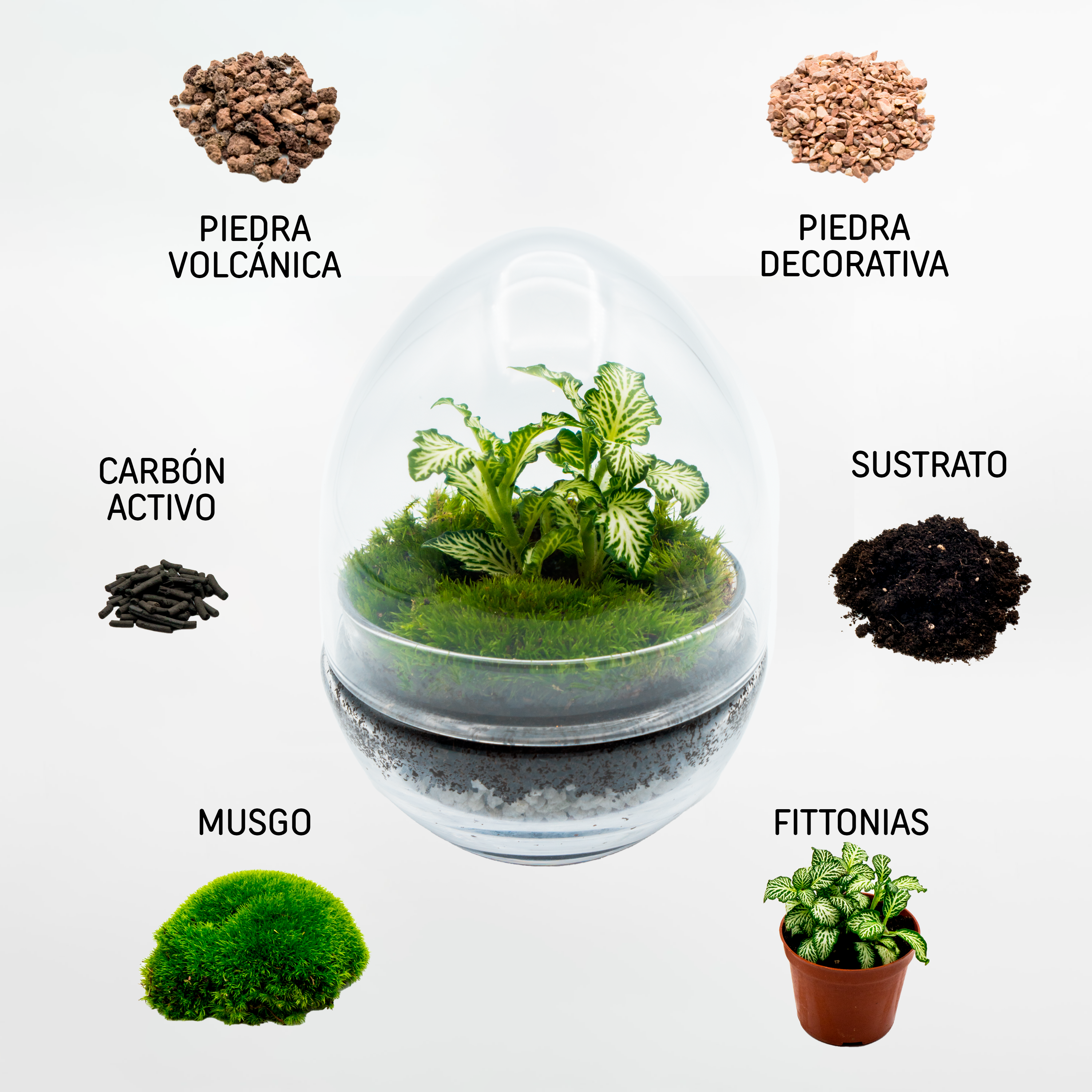 Kit Créalo Tú Mismo Jardín Eterno Segura